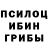 Cannafood конопля Alison Scurr