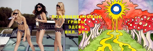 трава Верхнеуральск
